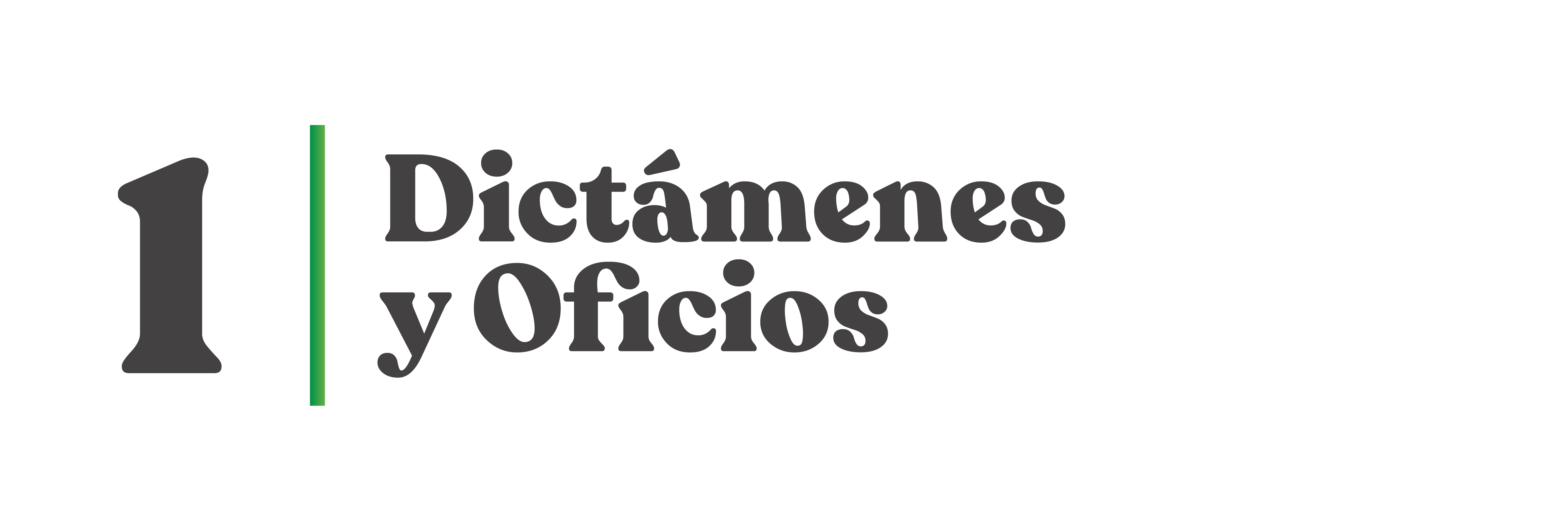 Dictamenes y Oficios