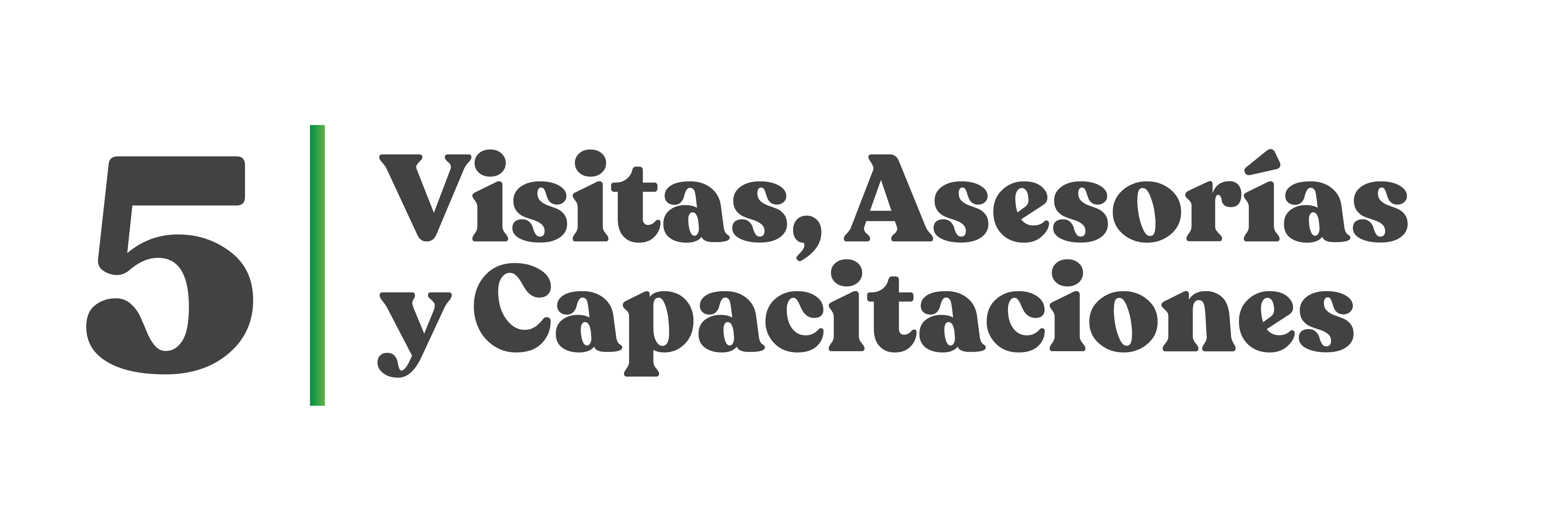 Visitas, Asesorias y Capacitación